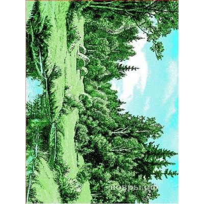 Ковер ткан Родные просторы С30ПР 2*1,4м, сорт 1